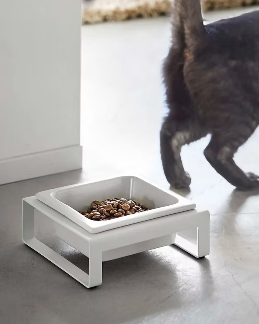 Pet