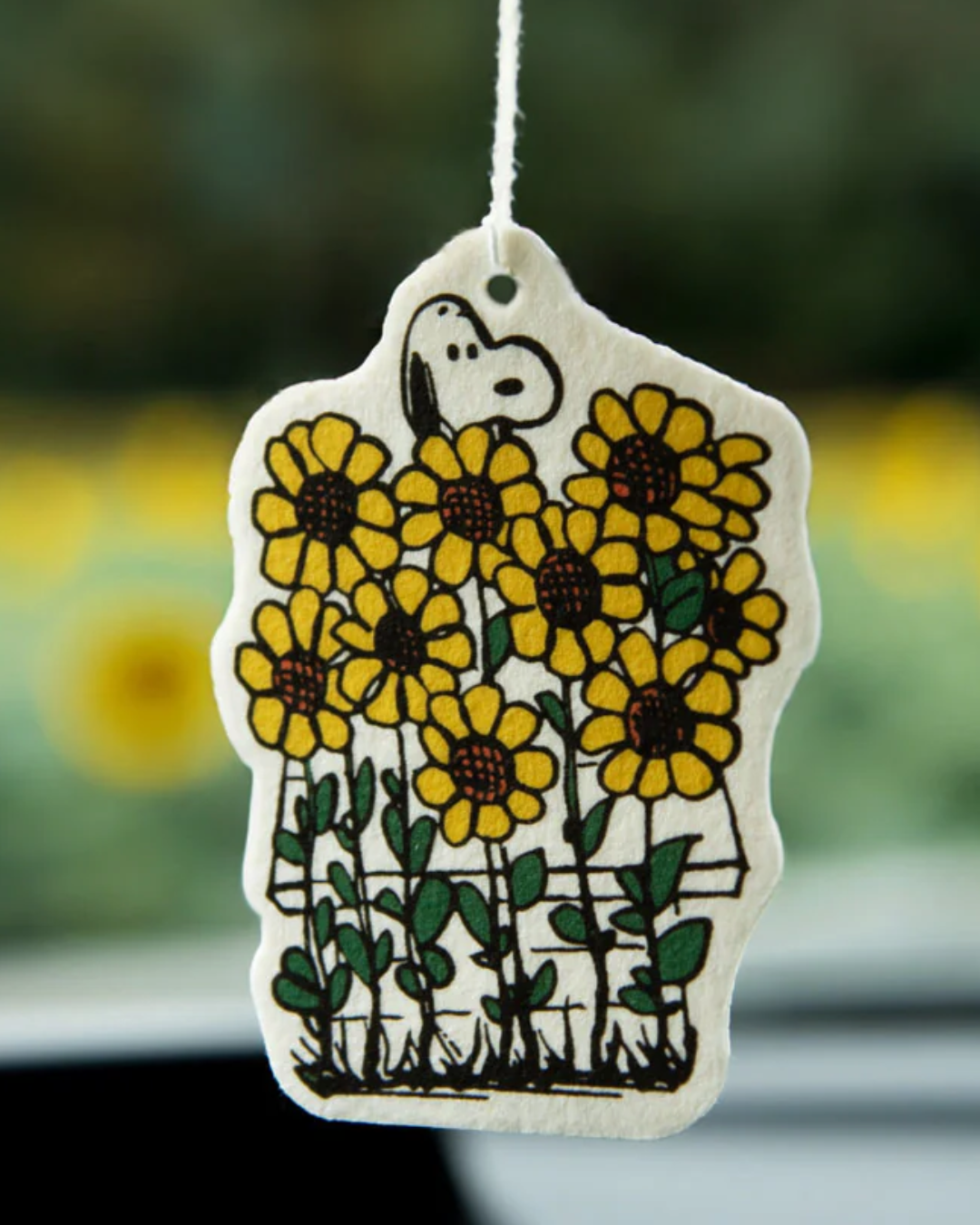 Air Freshener & Car Diffuser