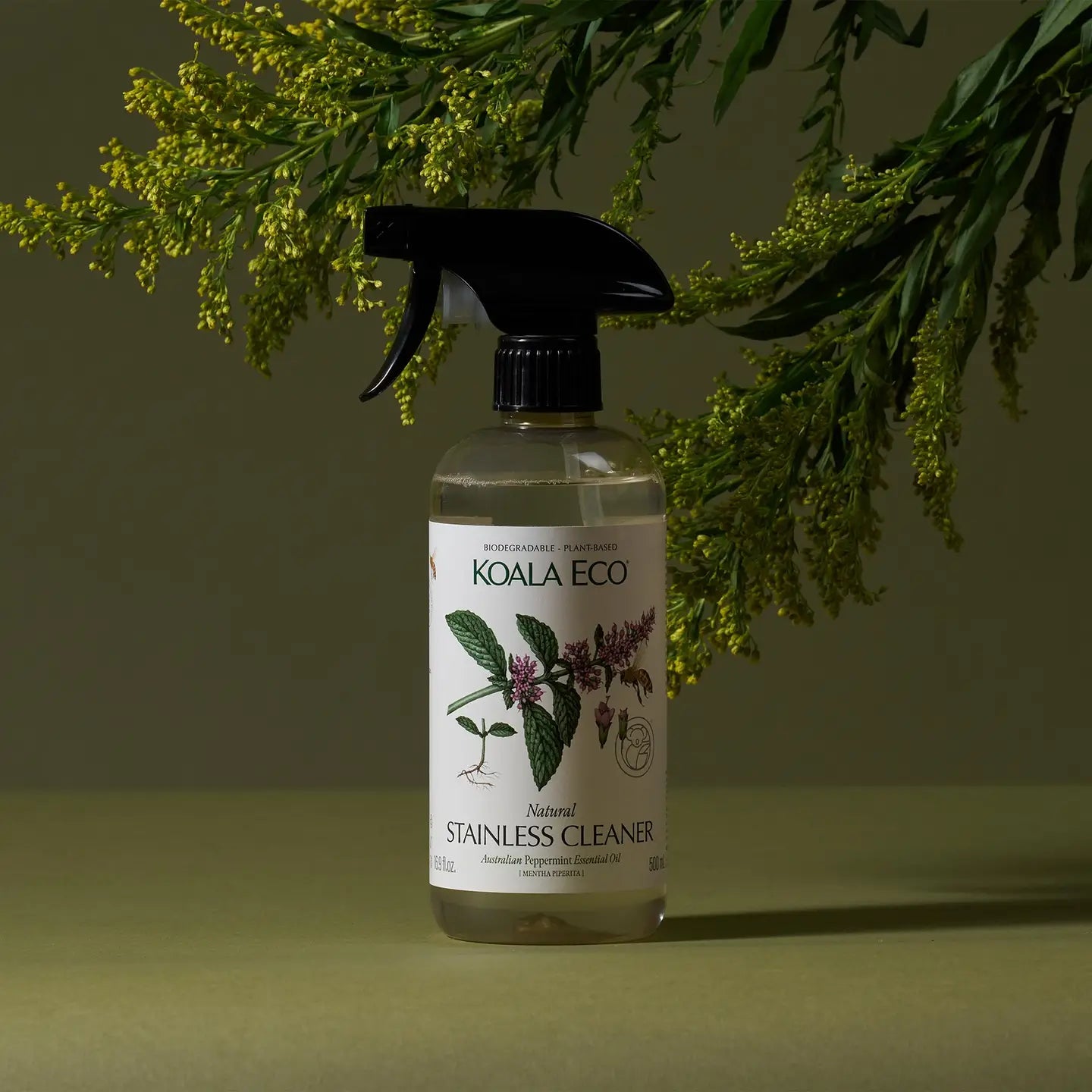 Natural Stainless Cleaner - Peppermint image 1
