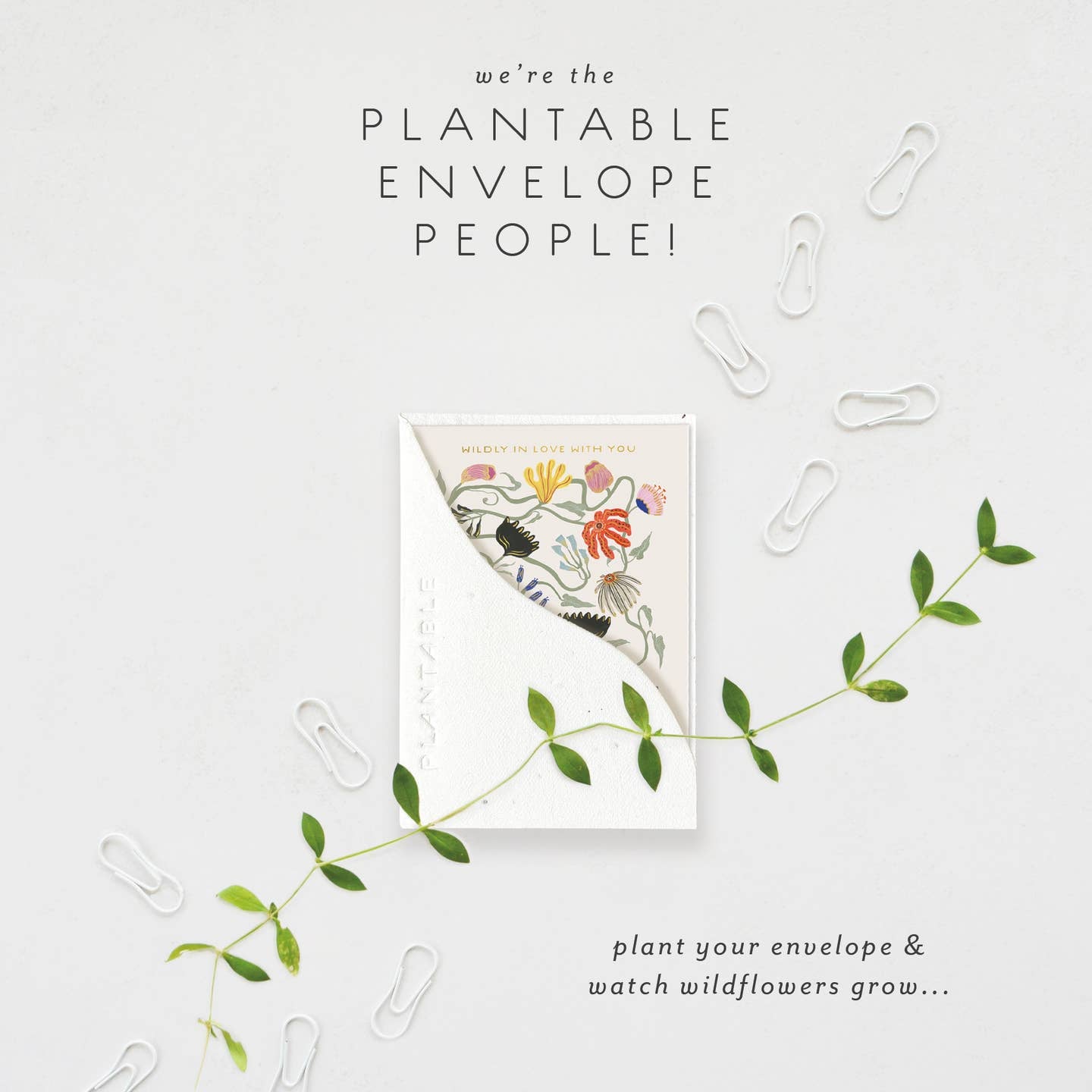 Wildly in Love - Love & Friendship Card (Mini) image 2