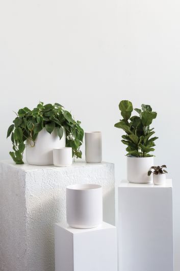 Kendall Pot image 13