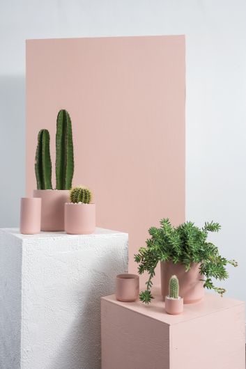 Kendall Pot image 12