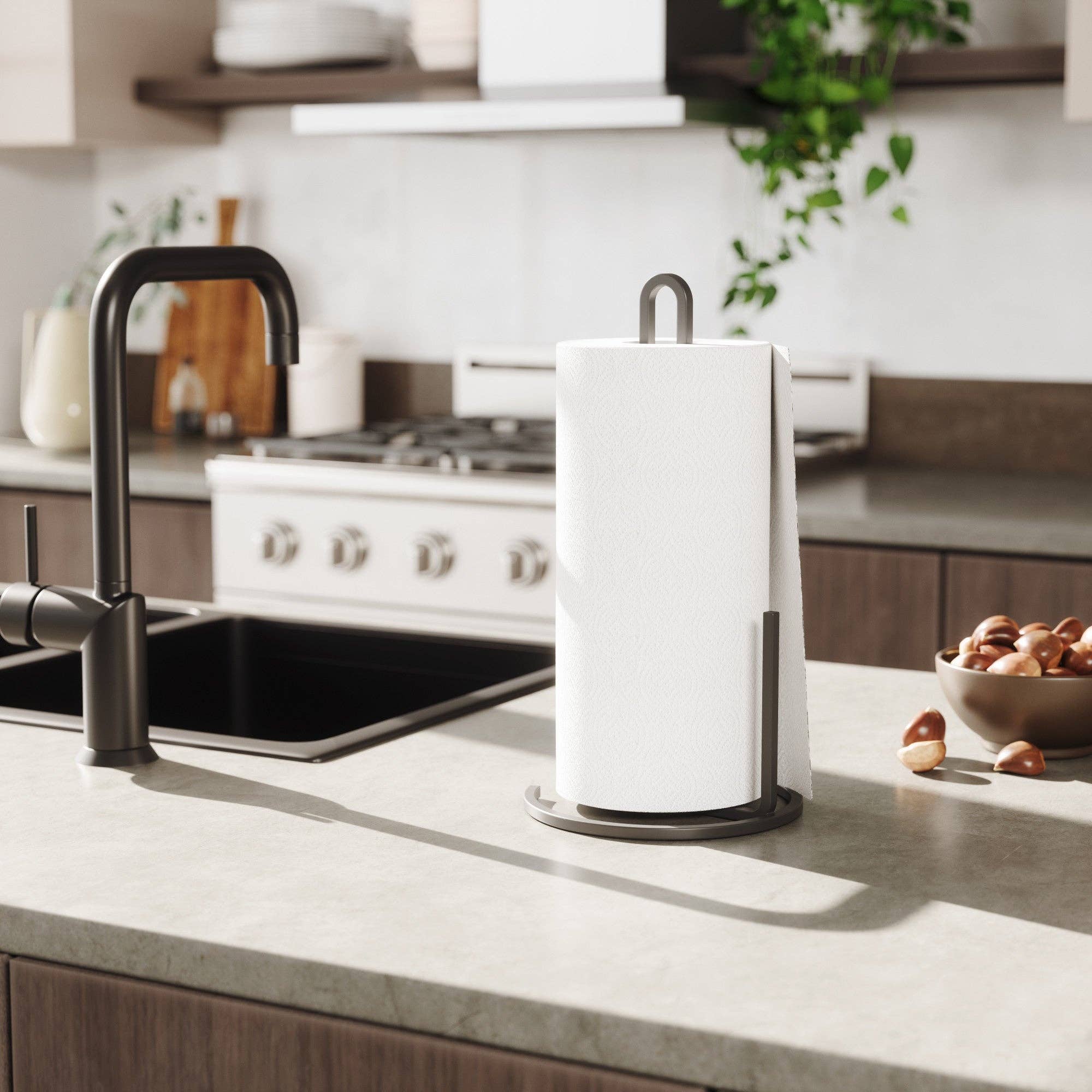 Squire Countertop Paper Towel Holder