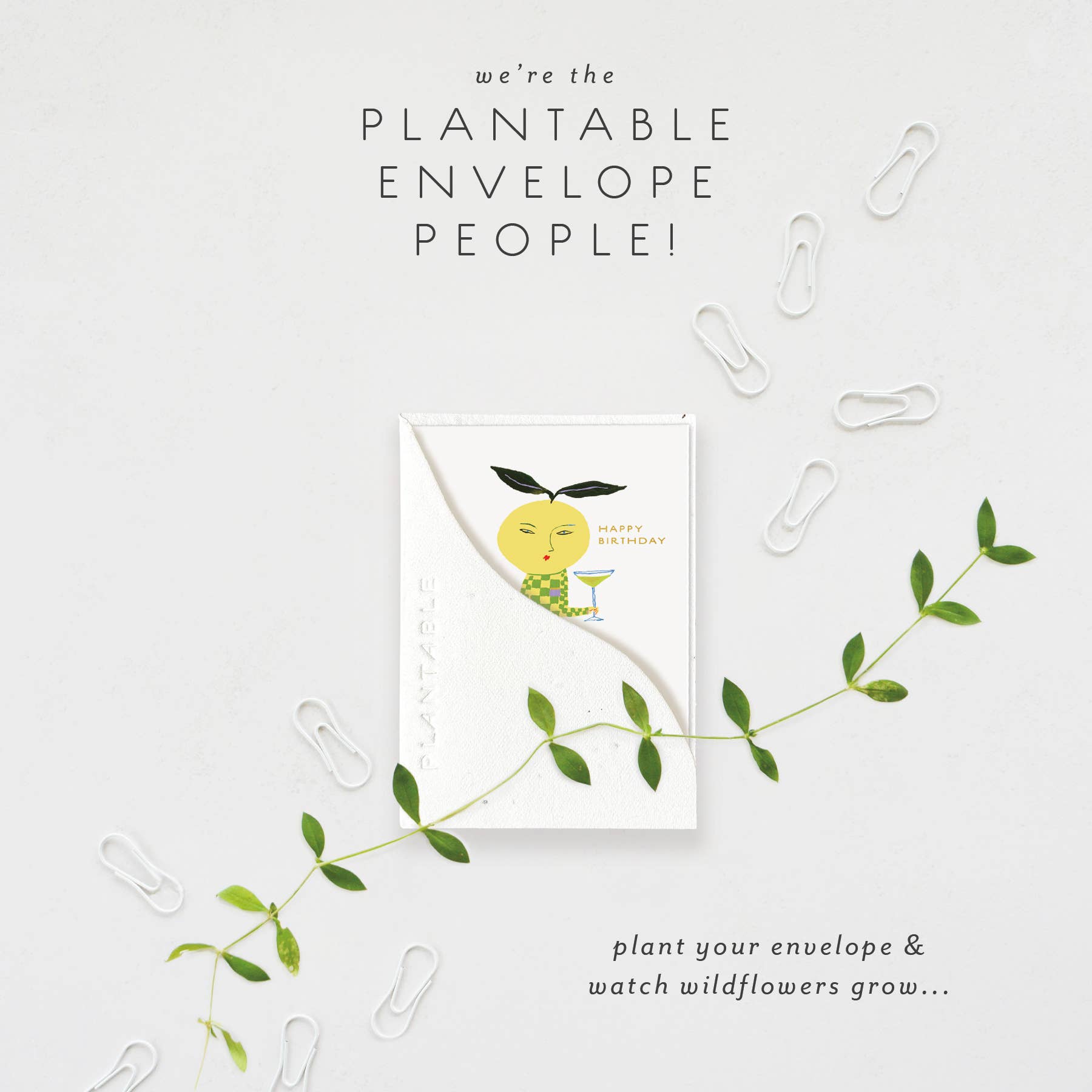 Yuzu Sprout - Birthday Card Mini