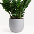 Ceramic Egg Planter image 0