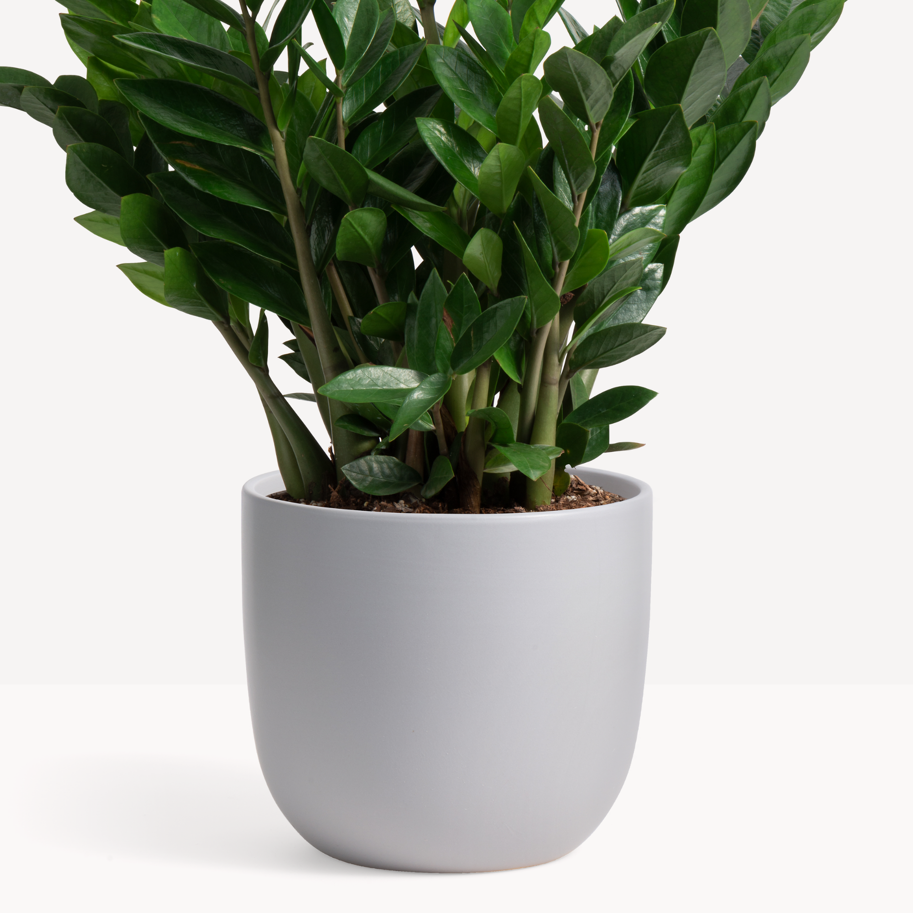 Ceramic Egg Planter image 0