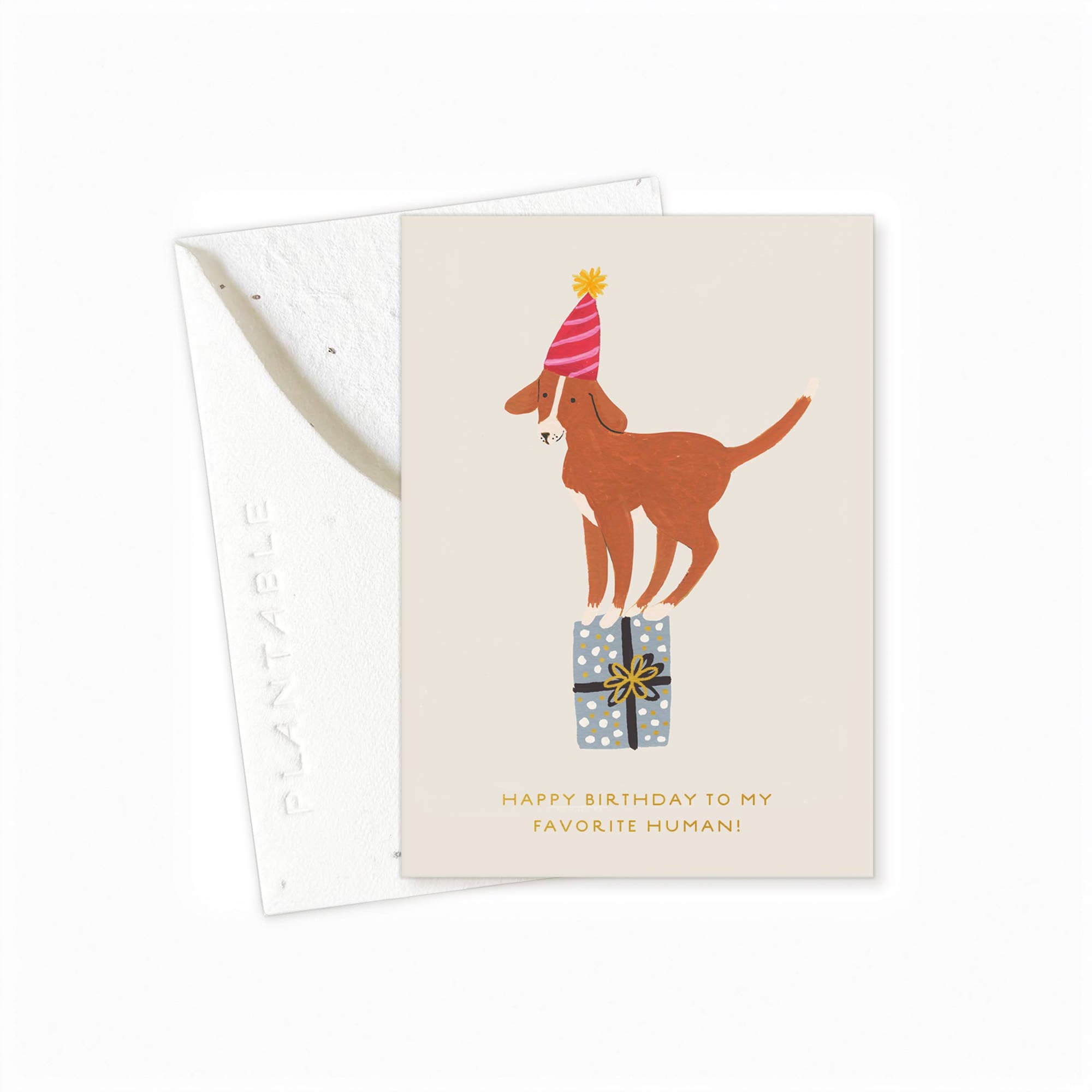 Birthday Dog Card image 2