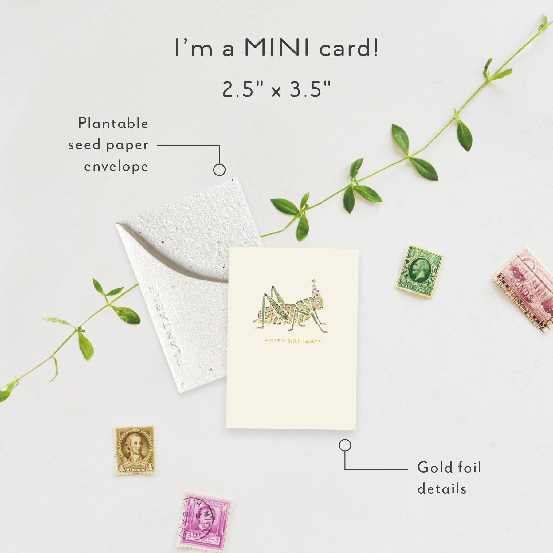 Hoppy Bday Sprout - Birthday Mini