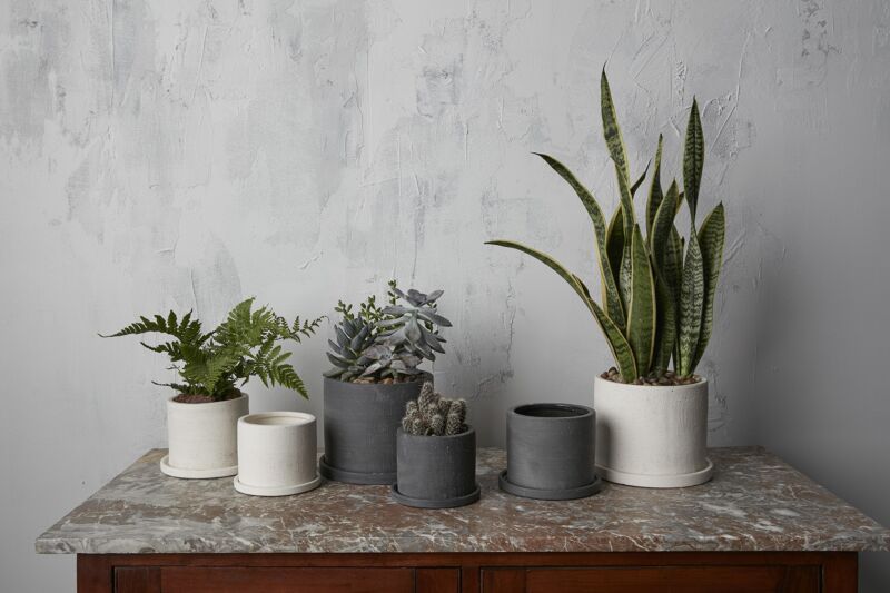 Easton Pot image 7