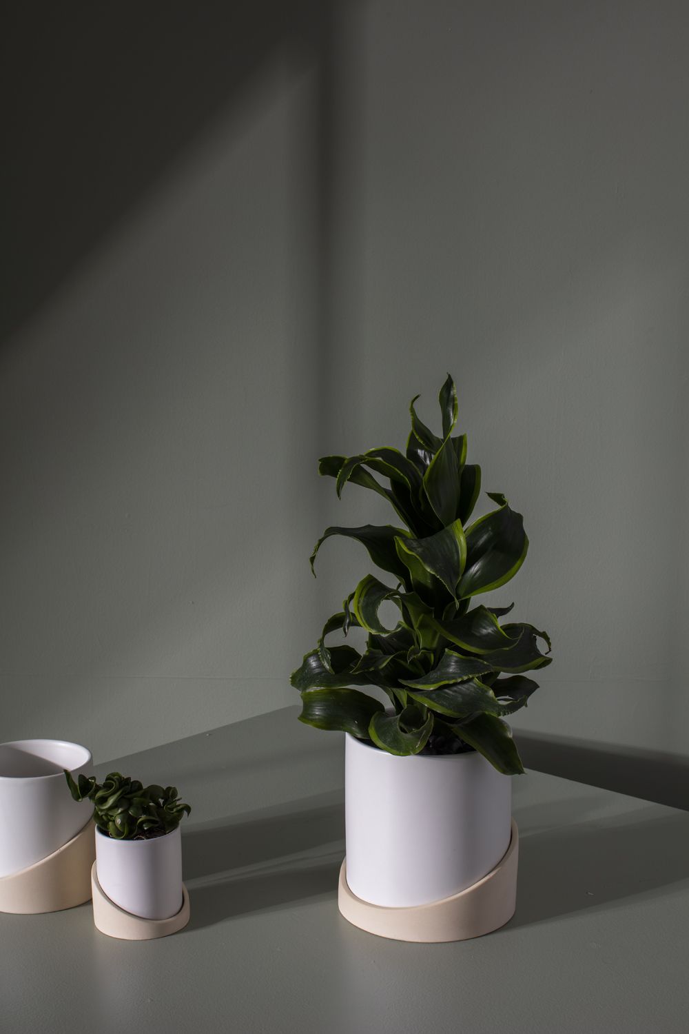 Brisbane Pot  image 2