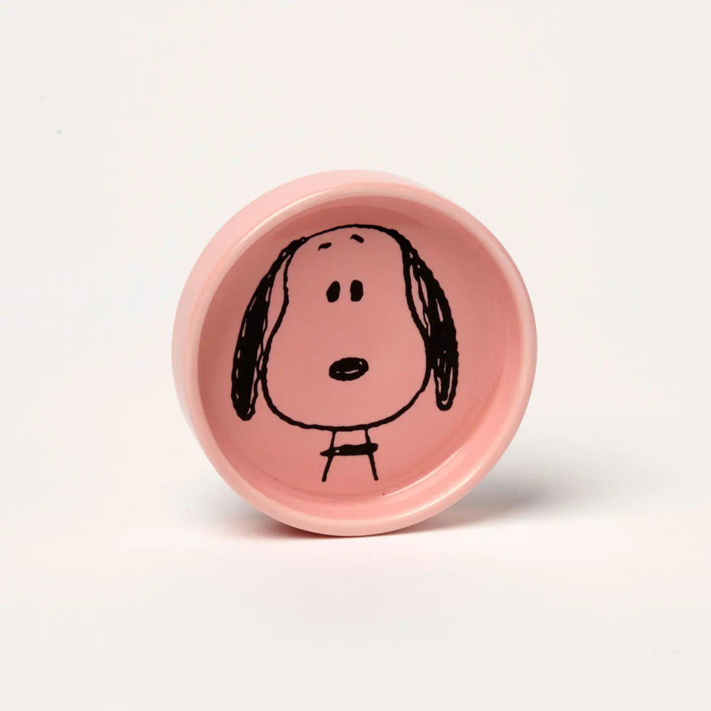 Peanuts Pin Dish image 8