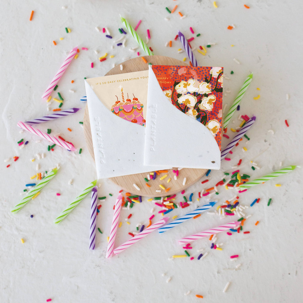 Abundance Sprout - Birthday Mini