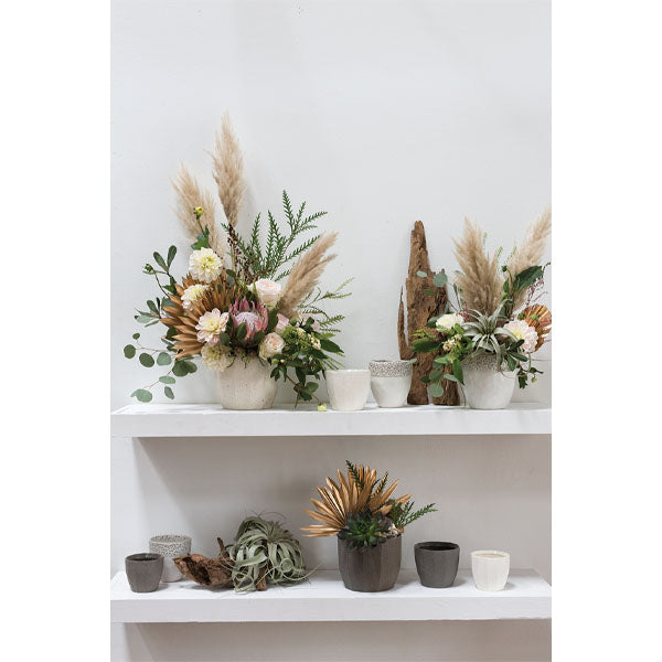 Bona Pot image 1