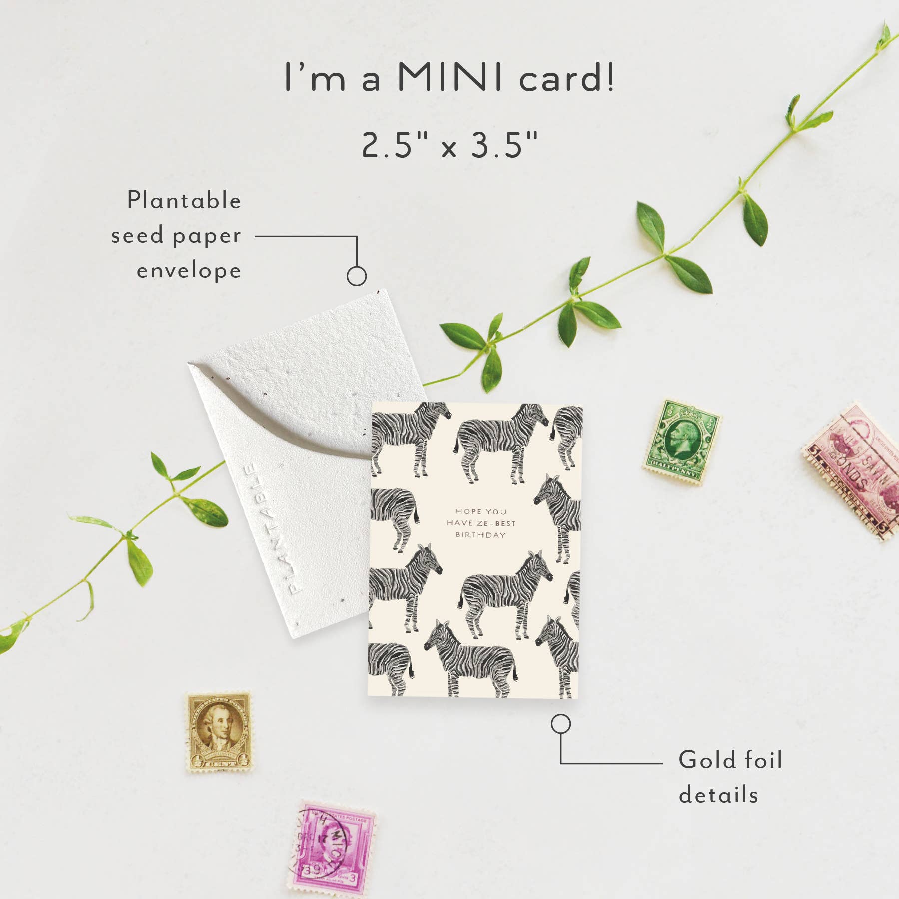 Ze-best Sprout - Birthday Card Mini