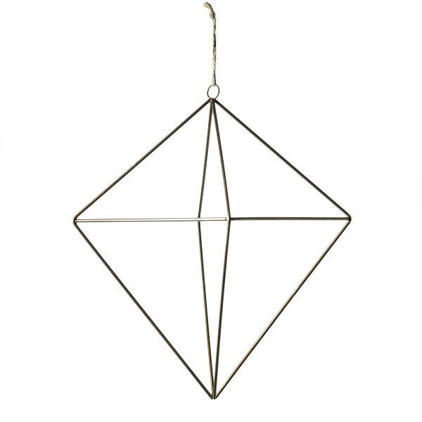 Tillandsia Hanger image 1