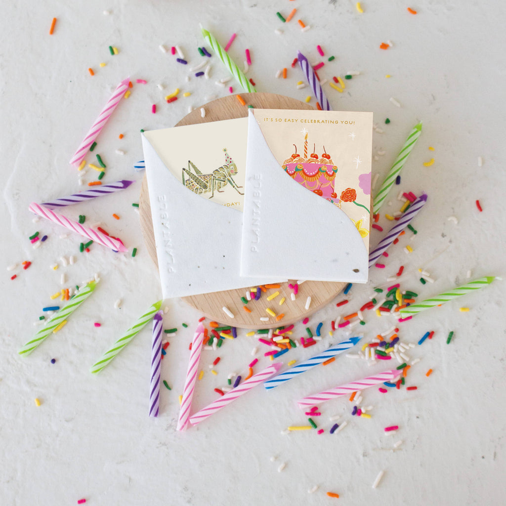Cherry Cake Sprout - Birthday Mini Greet 2.5 x 3.5