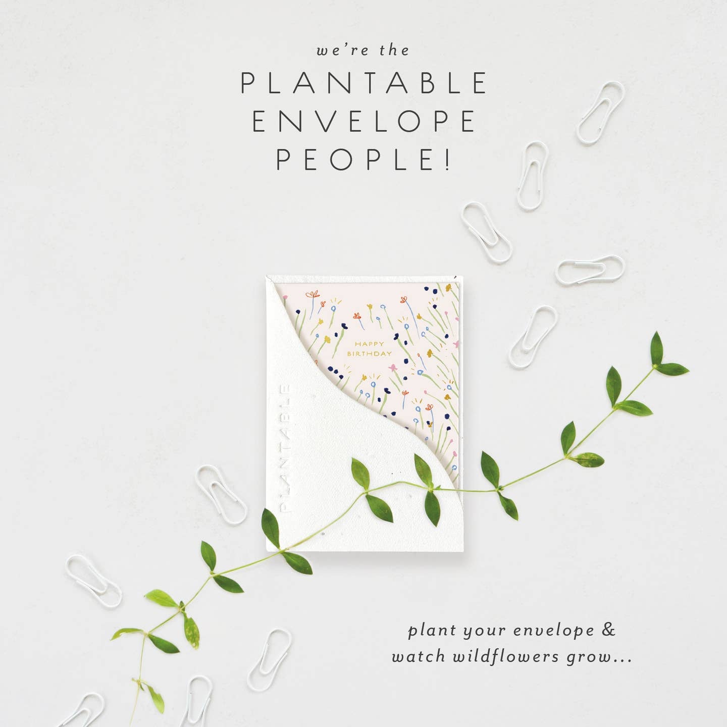 Sweetest Stems - Birthday Card image 4