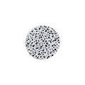 Terrazzo Coaster Set image 0