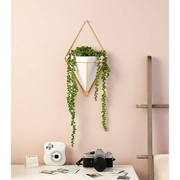 Trigg Wall Vessel Display Gold image 3