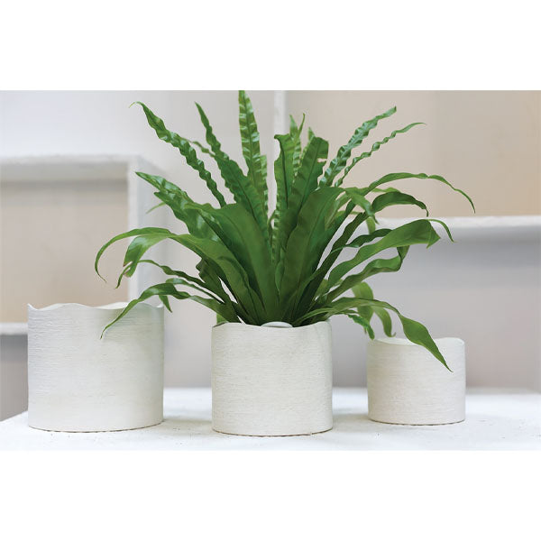 Delphi Pot image 1