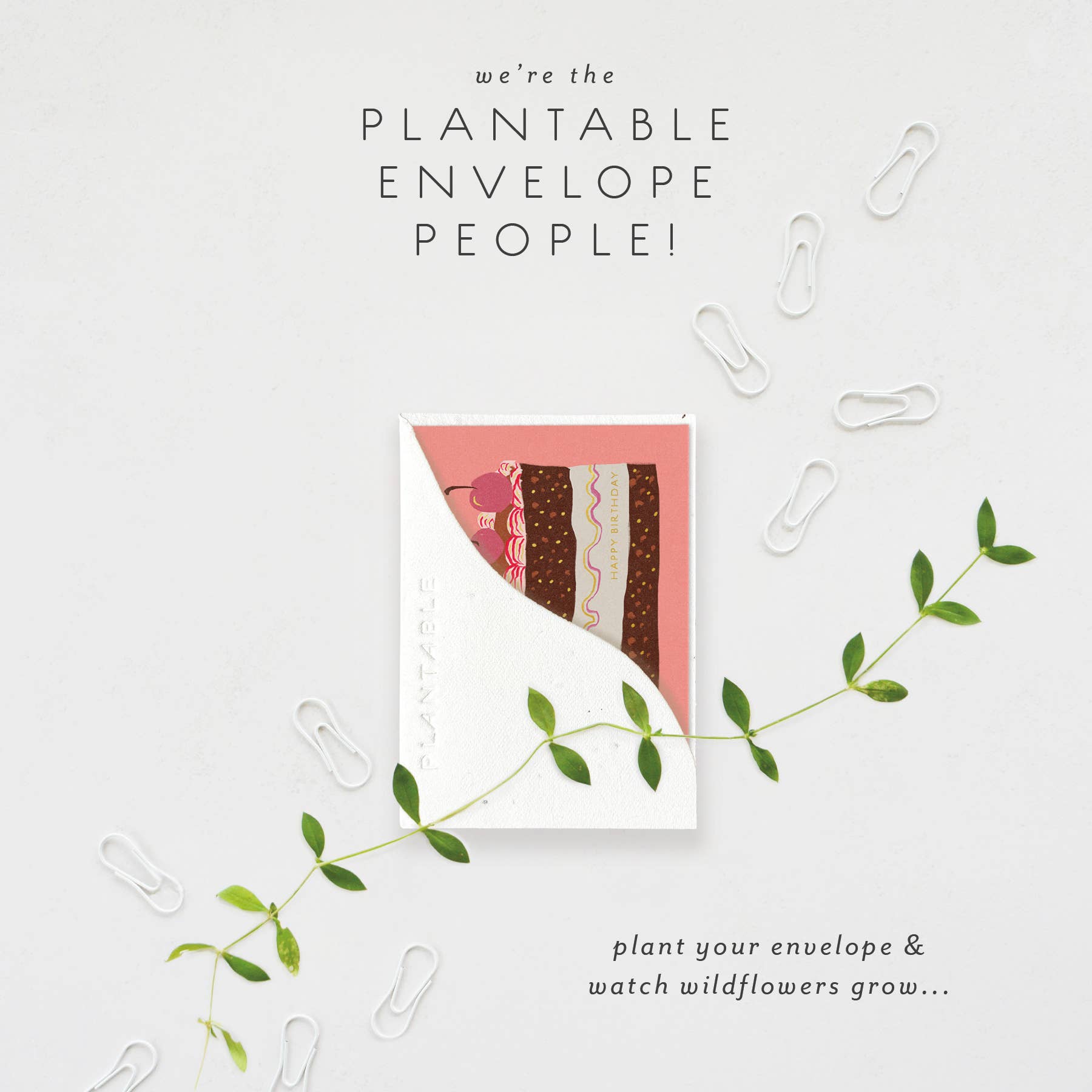 Slice of Cake Sprout - Birthday Mini Greet 2.5 x 3.5