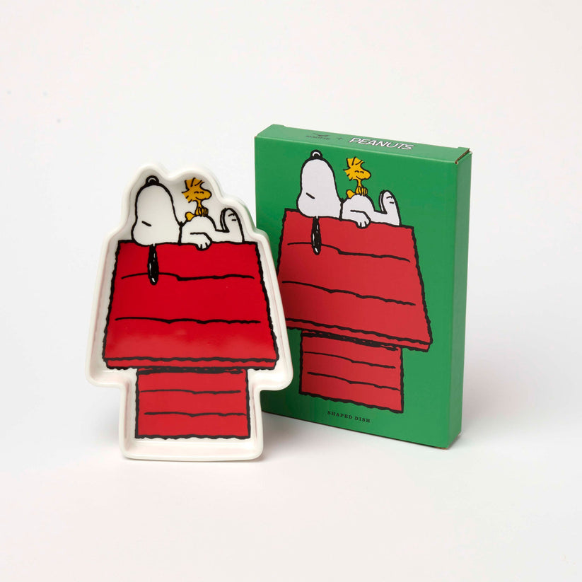 Peanuts Shaped Trinket Tray - House image 2