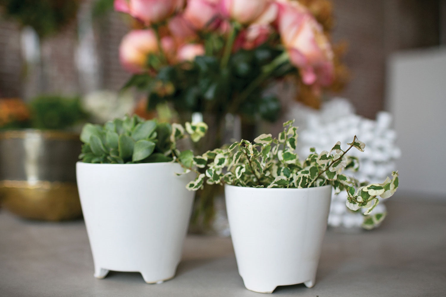 Ruth Pot image 1
