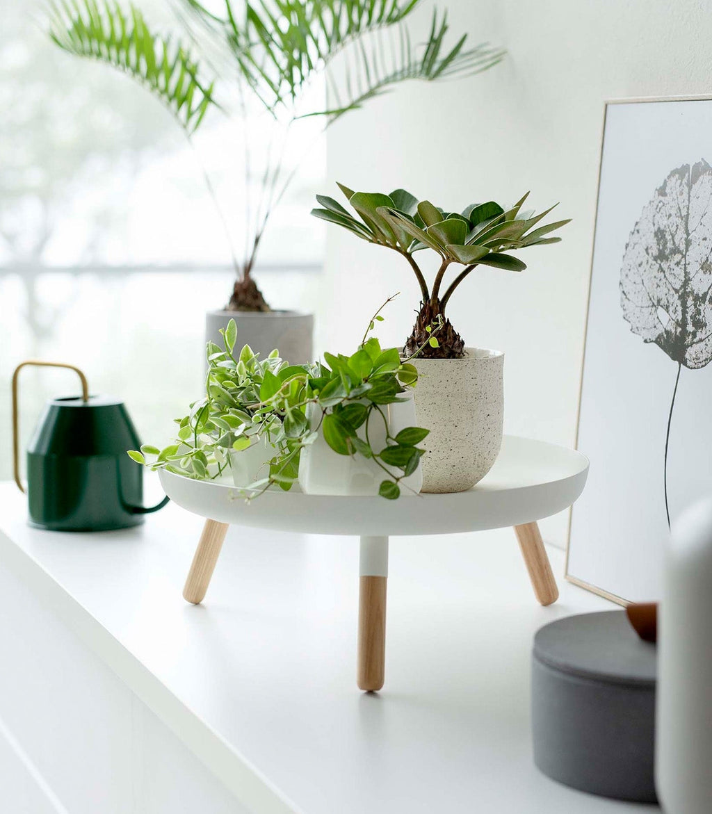 Countertop Pedestal Tray image 2