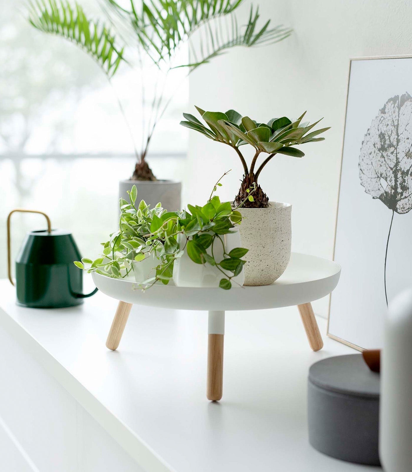 Countertop Pedestal Tray image 2