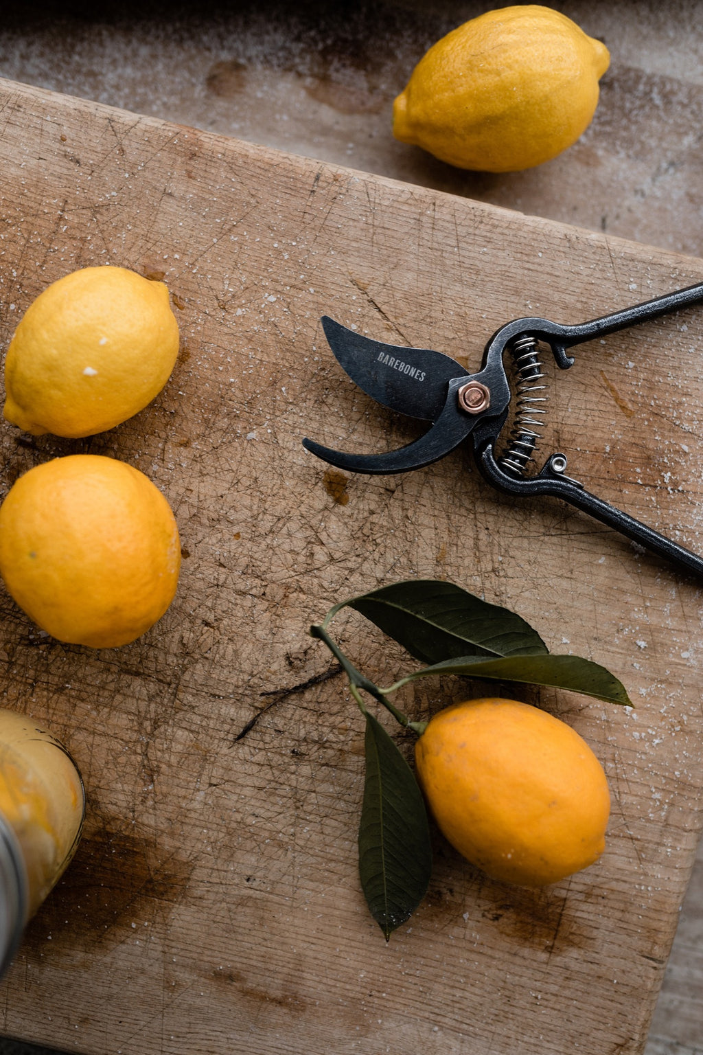 Garden Pruner image 6