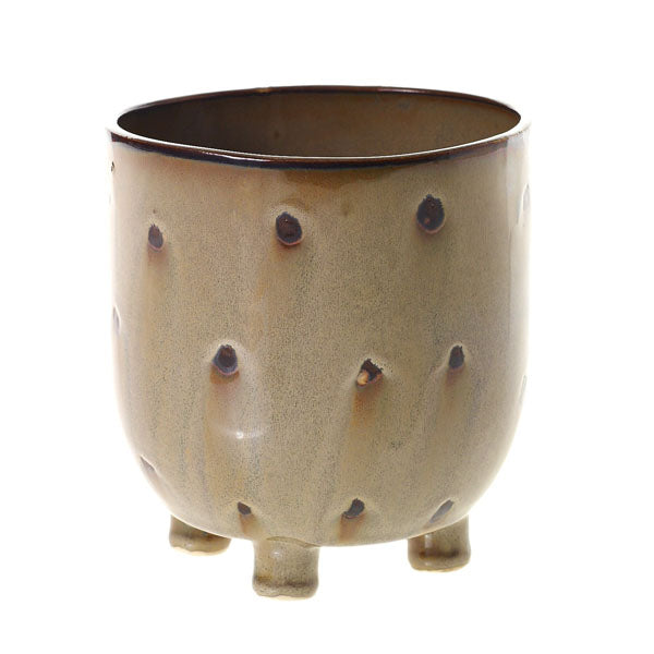 Ziggy Pot image 2