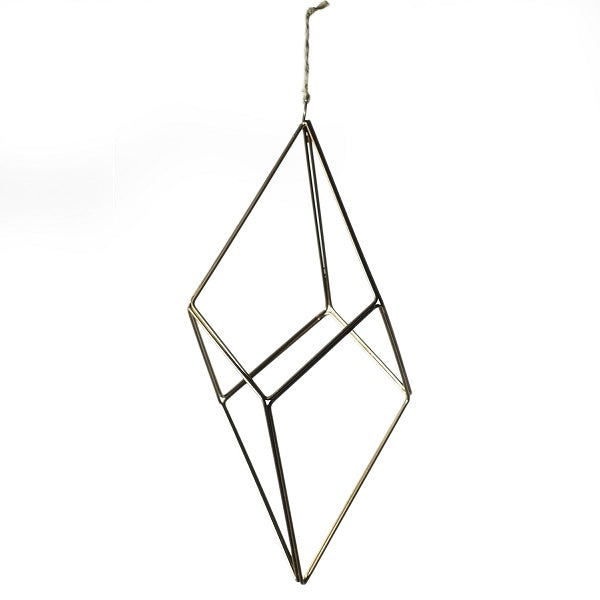 Tillandsia Hanger image 2