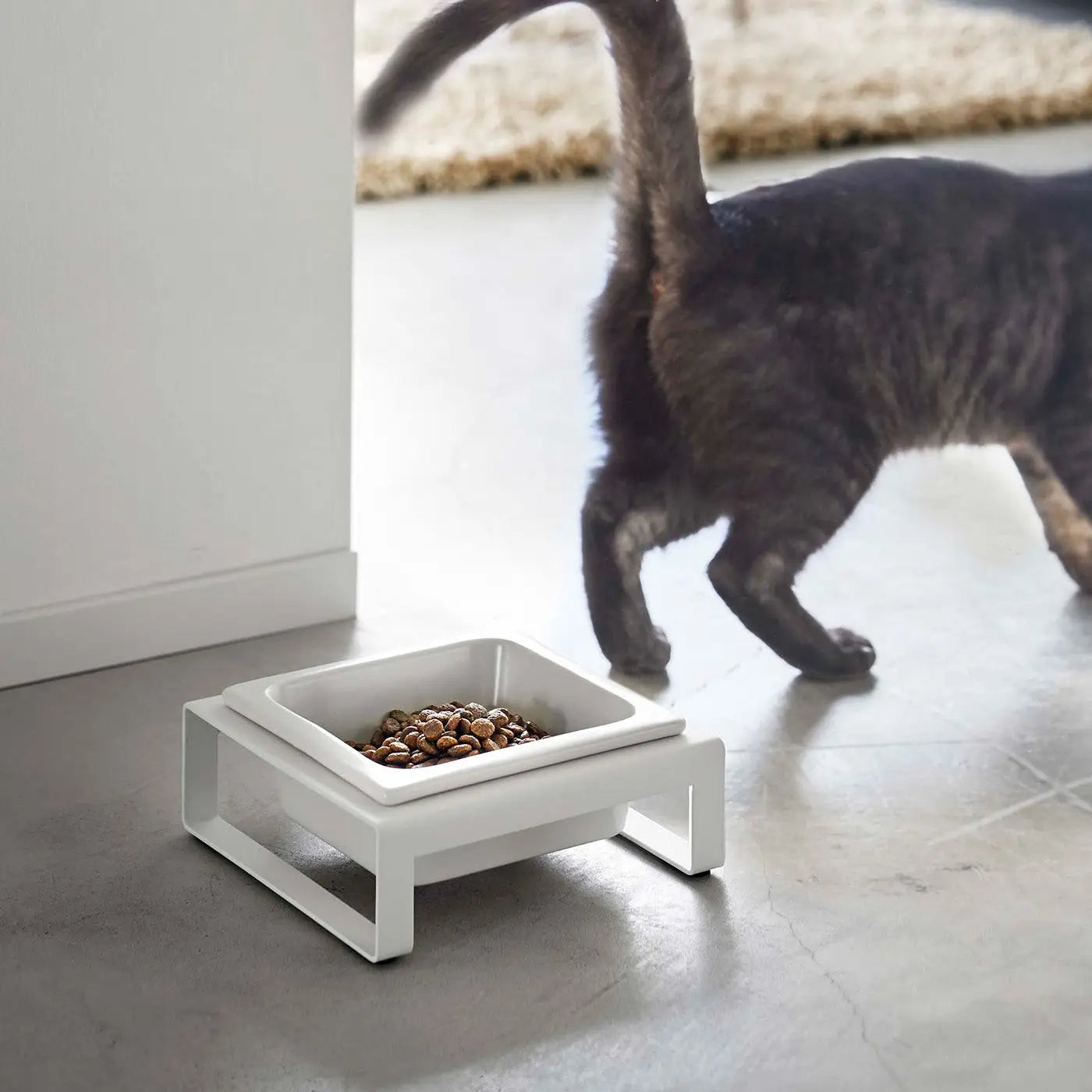 Single Pet Food Bowl image 4
