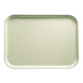 Cambro Tray image 0