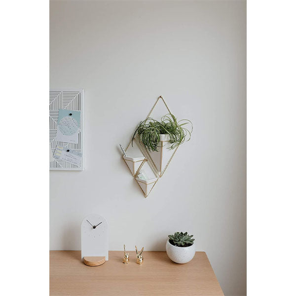Trigg Wall Vessel Display Gold image 8