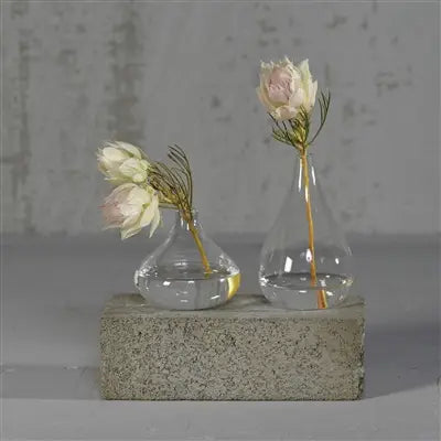 Gwen Vase - Glass image 1