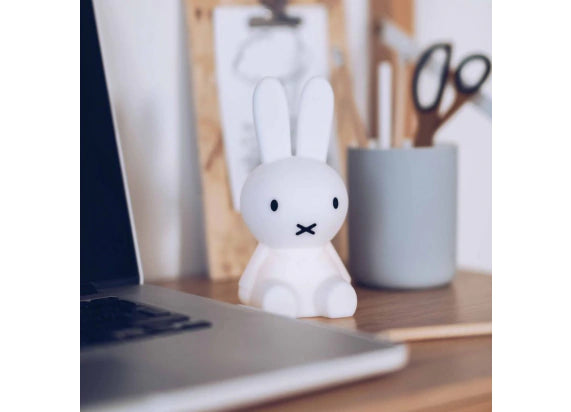 Miffy - Bundle of Light image 5