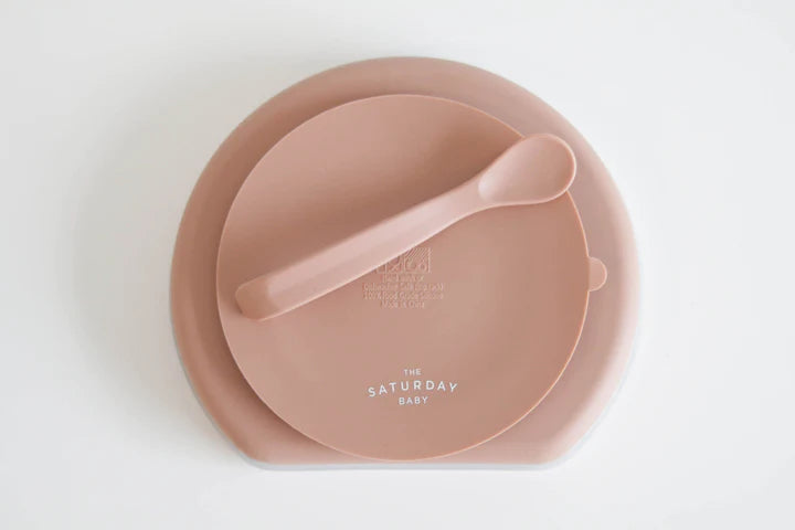 Silicone Suction Plate With Lid & Spoon image 2
