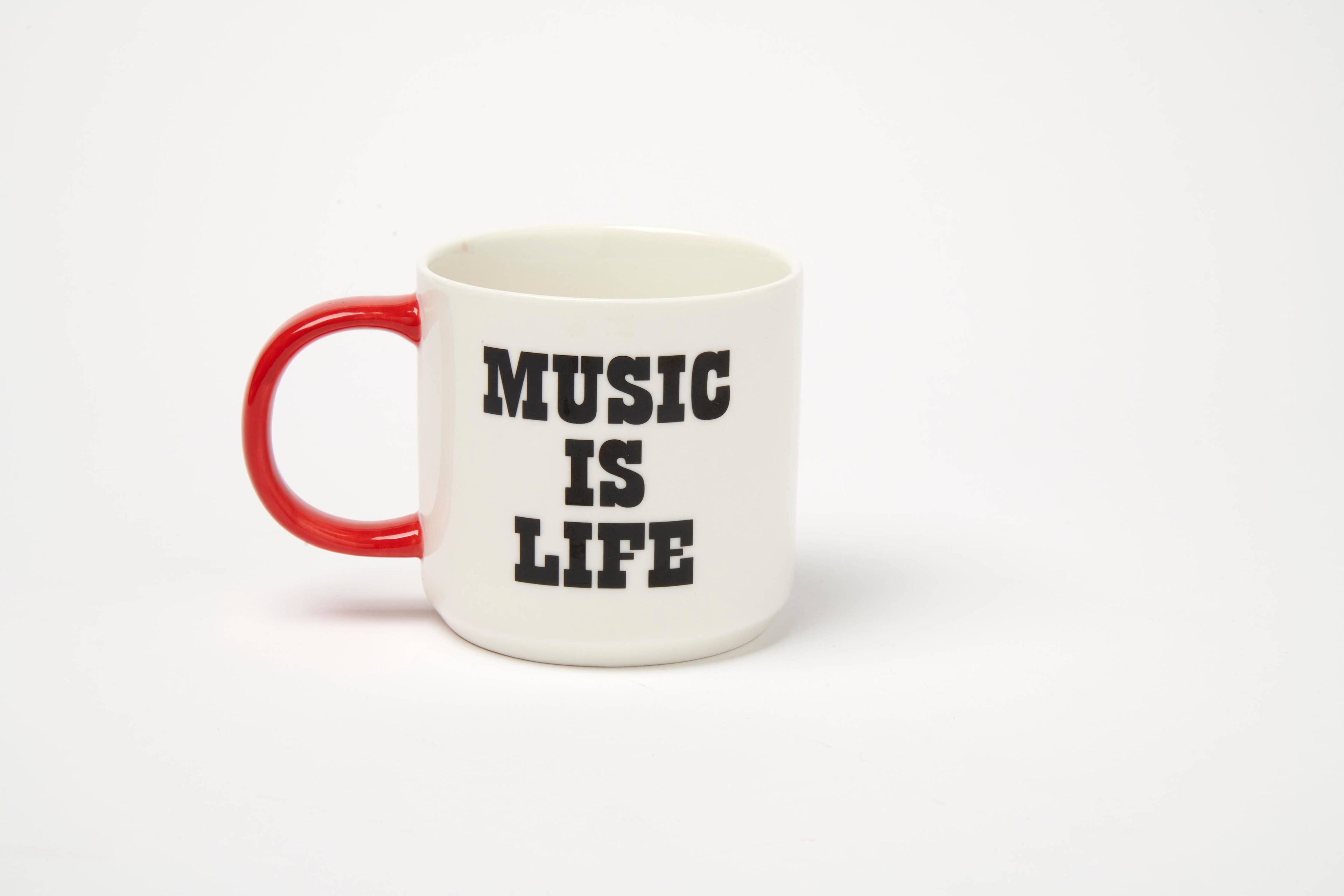 Peanuts Mug - Vinyl