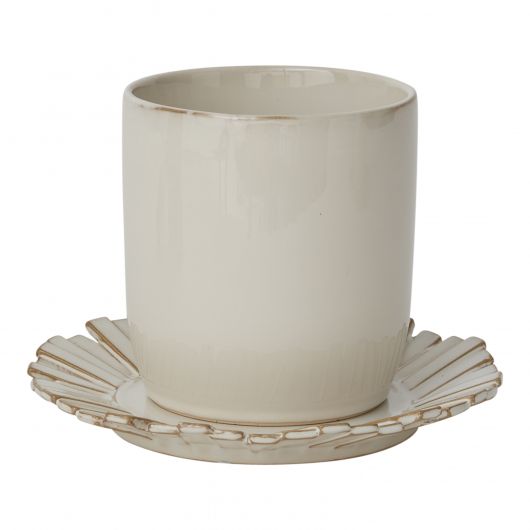 Dermot Pot image 4