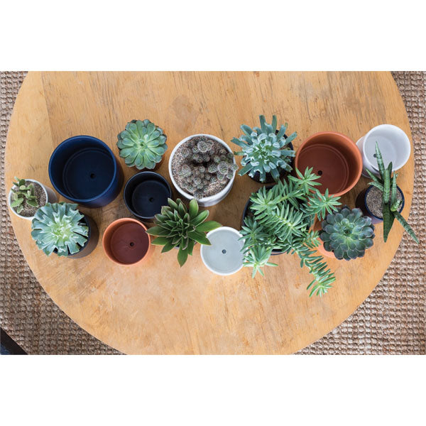 Romey Pot image 5