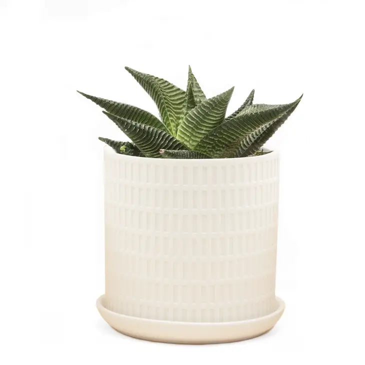 Virago Pot image 0