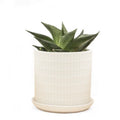 Virago Pot image 0