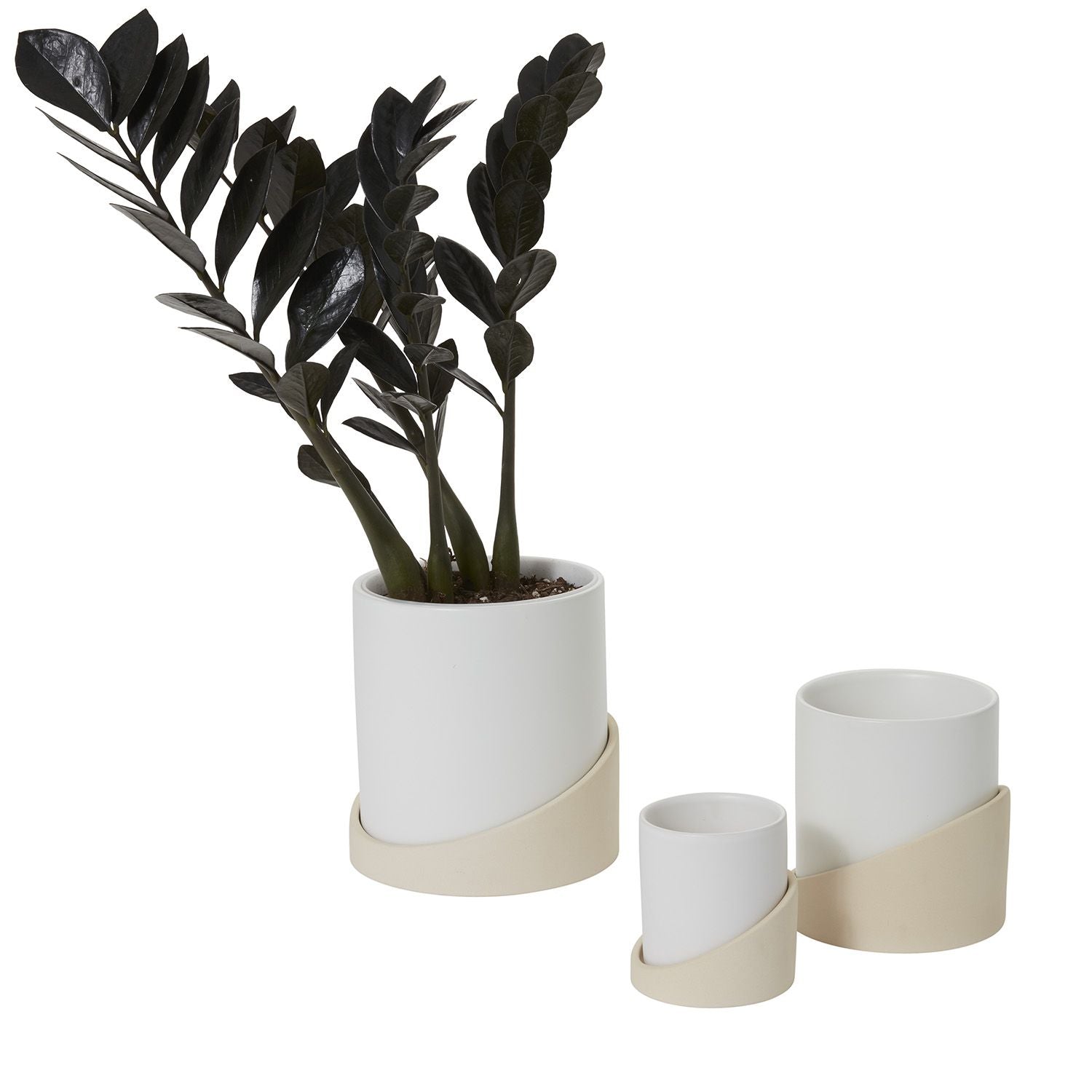 Brisbane Pot  image 1