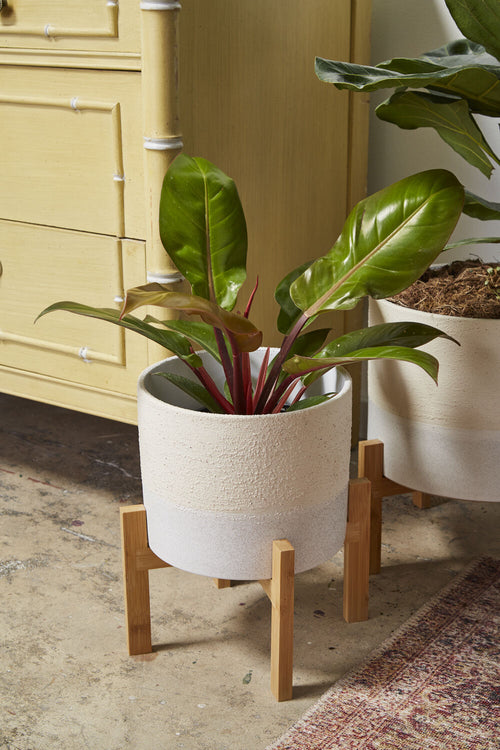 Calvia Pot with Stand image 1