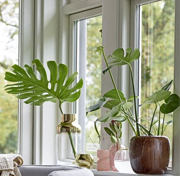 Glass Vase - Blush image 1