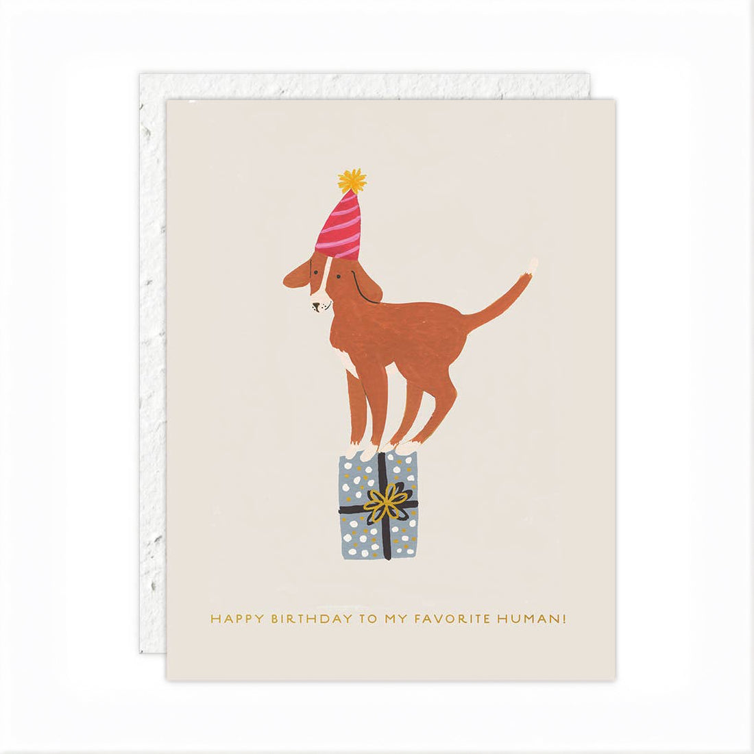 Birthday Dog Card image 0