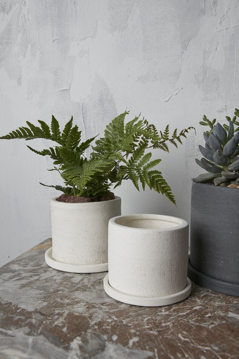 Easton Pot image 5