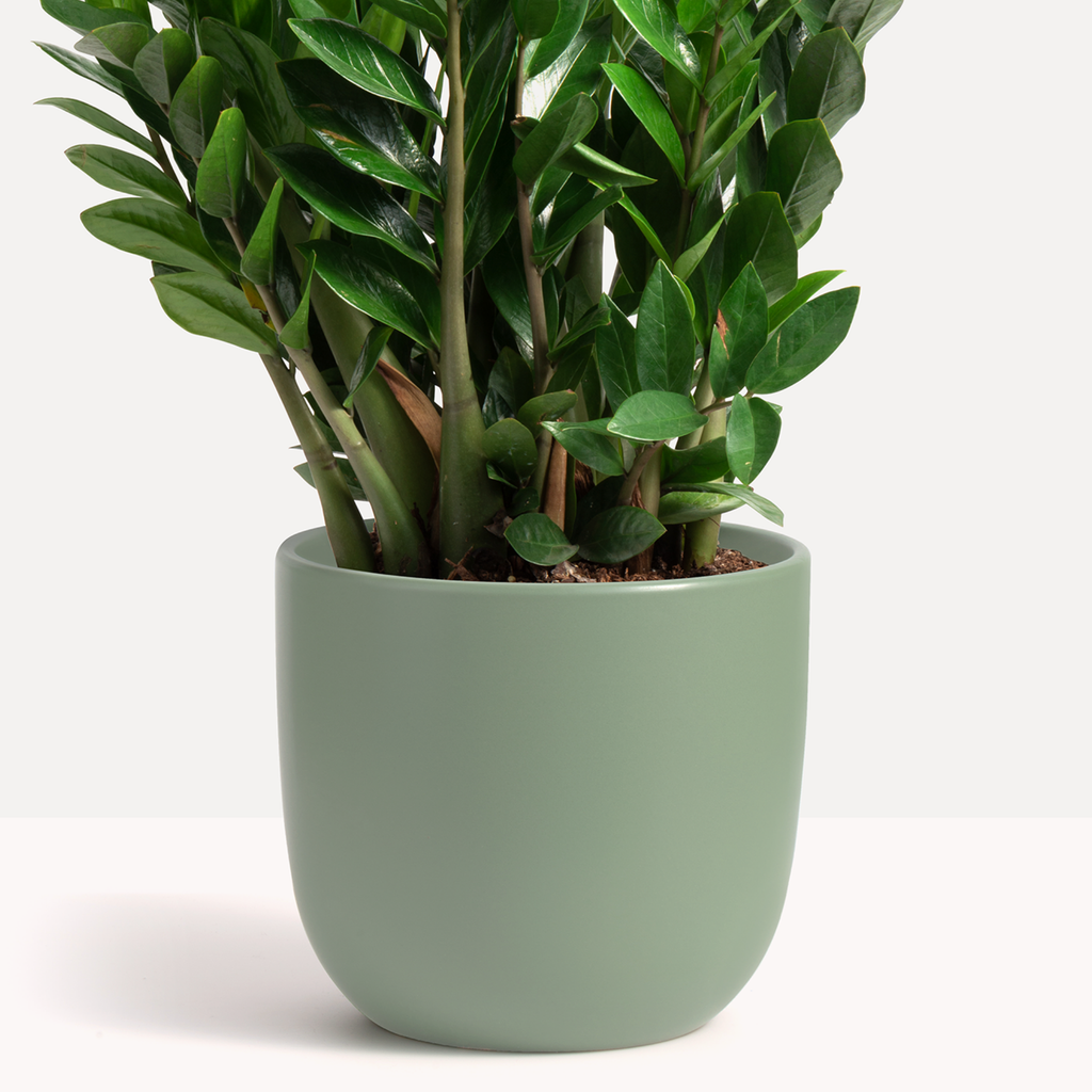 Ceramic Egg Planter image 4