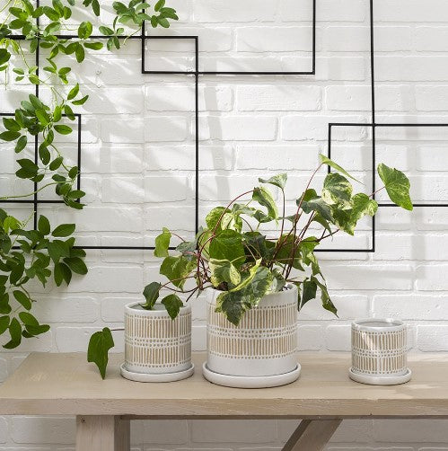 Linden Pot image 1